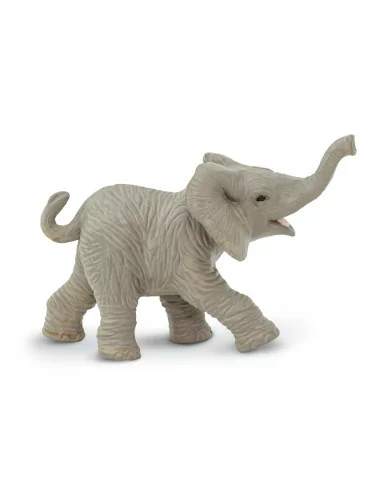 Młode słonia afrykańskiego