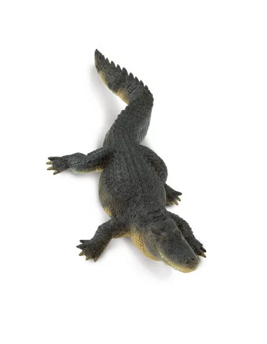Aligator