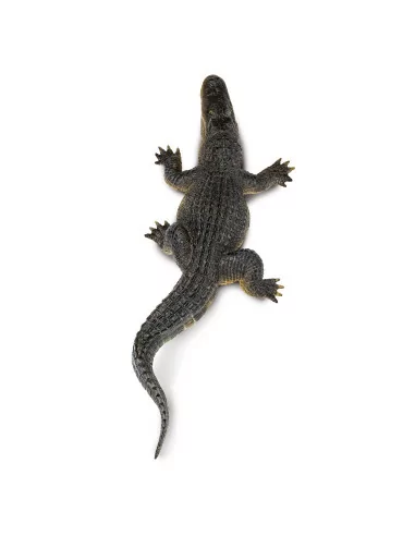 Aligator