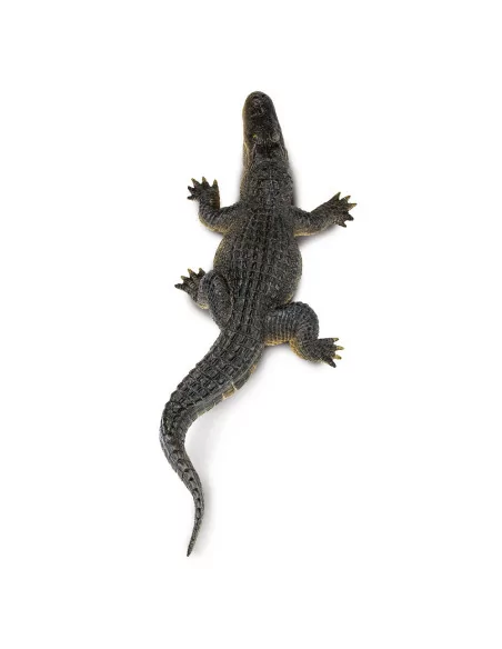 Aligator
