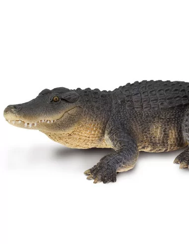 Aligator