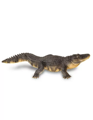 Aligator