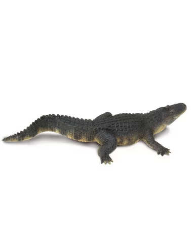 Aligator