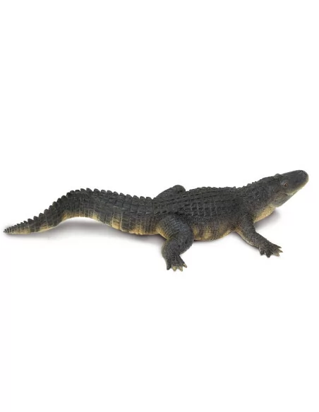Aligator