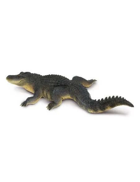 Aligator