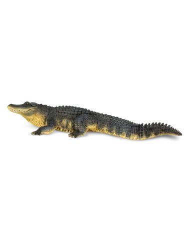 Aligator