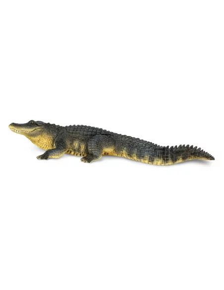 Aligator