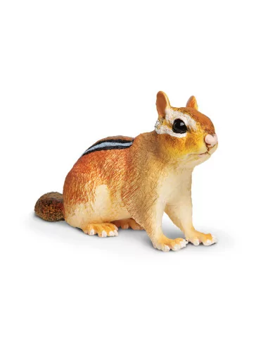 Pręgowiec amerykański