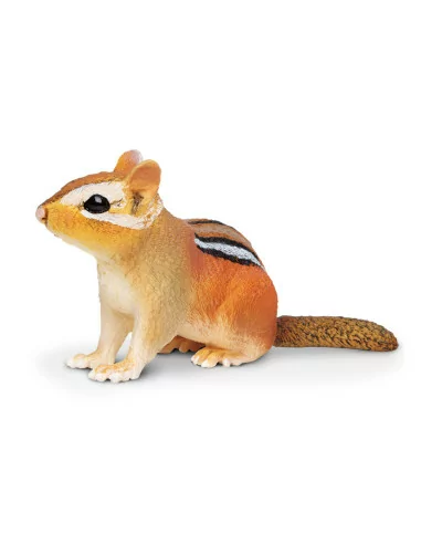 Pręgowiec amerykański