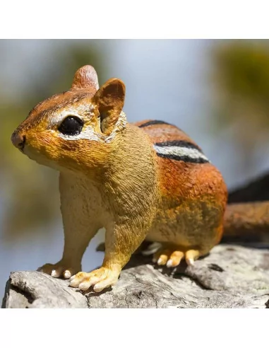 Pręgowiec amerykański