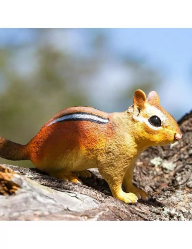 Pręgowiec amerykański