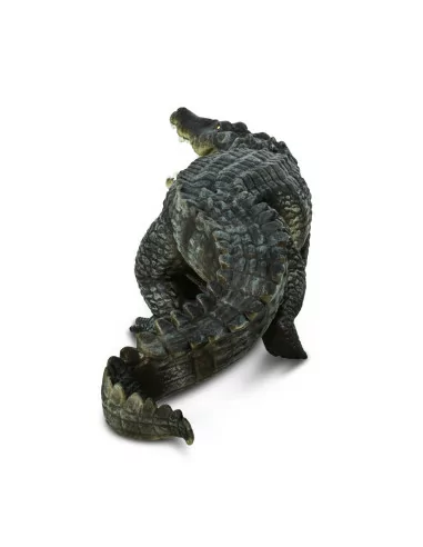 Krokodyl różańcowy