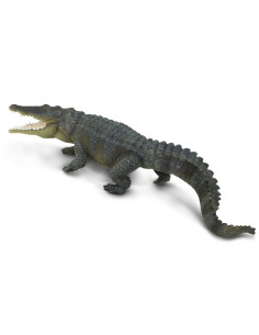 Krokodyl różańcowy