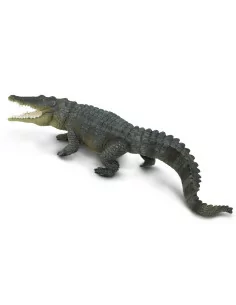 Krokodyl różańcowy