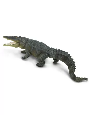 Krokodyl różańcowy