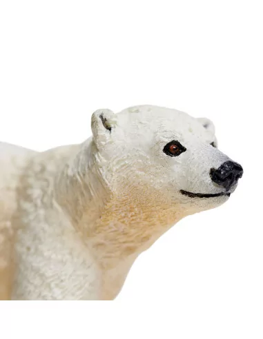 Młode niedźwiedzia polarnego