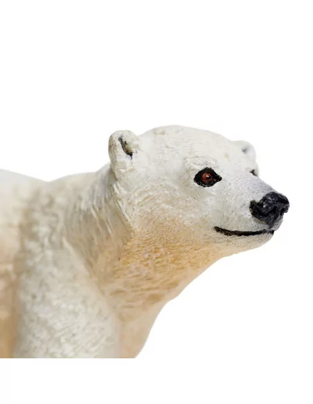 Młode niedźwiedzia polarnego