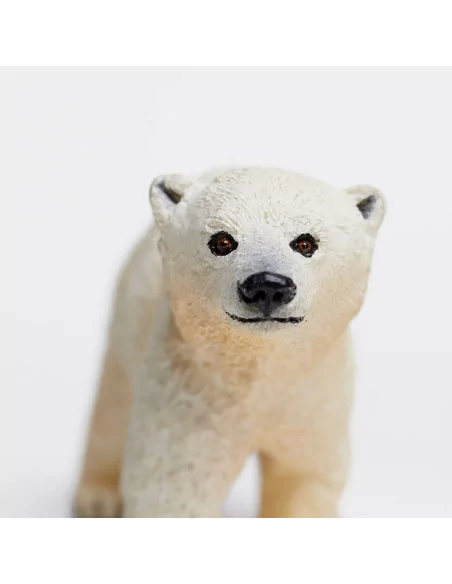 Młode niedźwiedzia polarnego