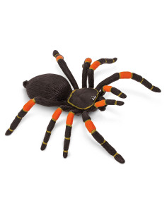 Brachypelma smithi (ptasznik)