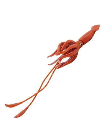 Kałamarnica olbrzymia