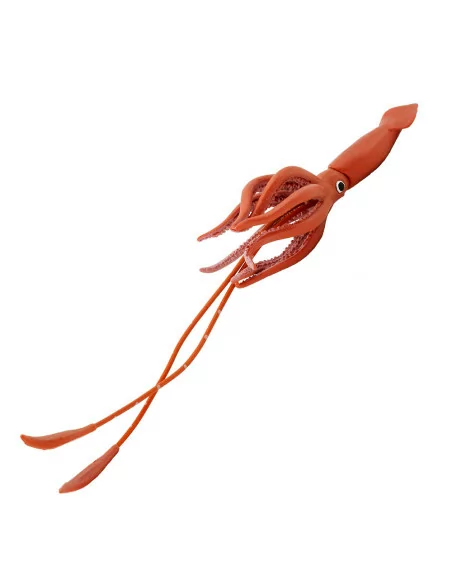 Kałamarnica olbrzymia