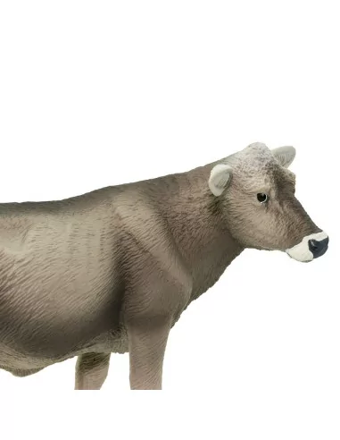 Szwajcaria Brown Cow