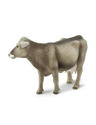 Szwajcaria Brown Cow