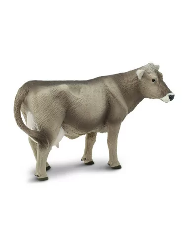 Szwajcaria Brown Cow