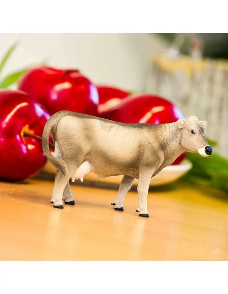 Szwajcaria Brown Cow