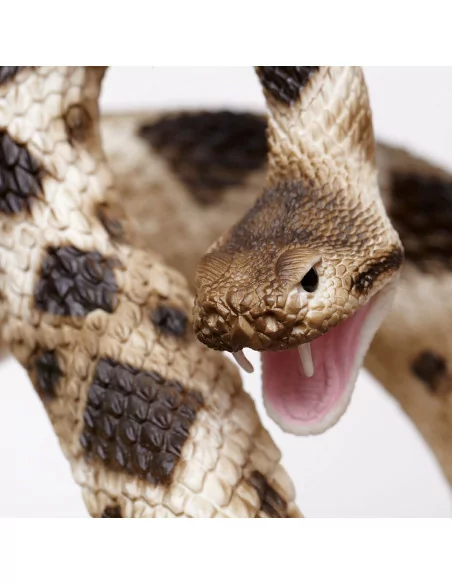 Grzechotnik diamentowy