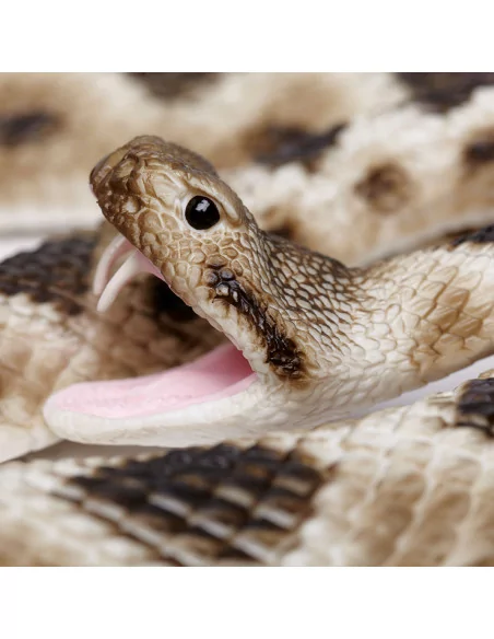 Grzechotnik diamentowy