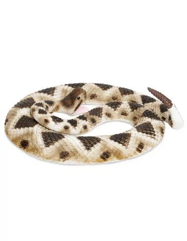 Grzechotnik diamentowy