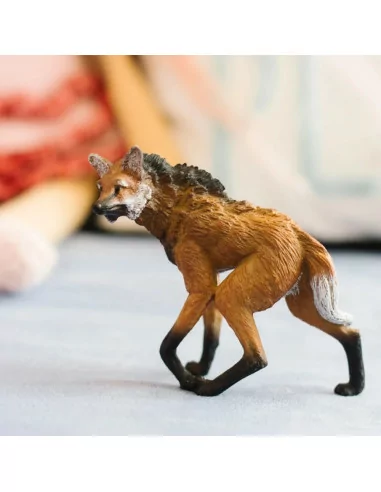 Pampasowiec grzywiasty