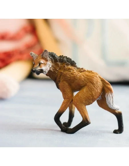 Pampasowiec grzywiasty