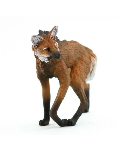 Pampasowiec grzywiasty