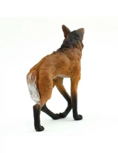 Pampasowiec grzywiasty