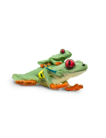 Rzekotka czerwonooka