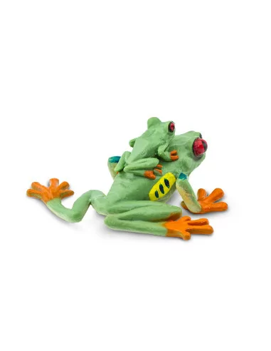 Rzekotka czerwonooka