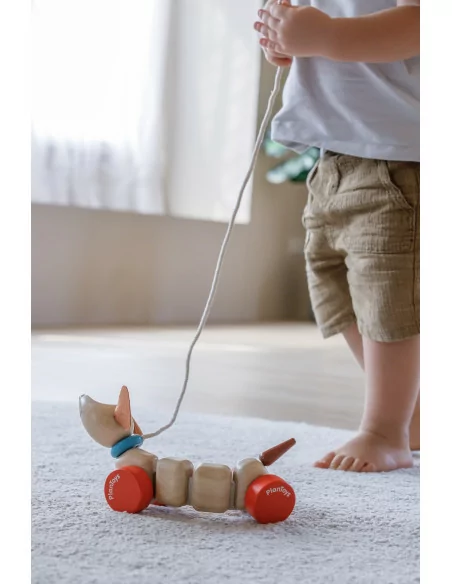 Szczęśliwy piesek do ciągnięcia