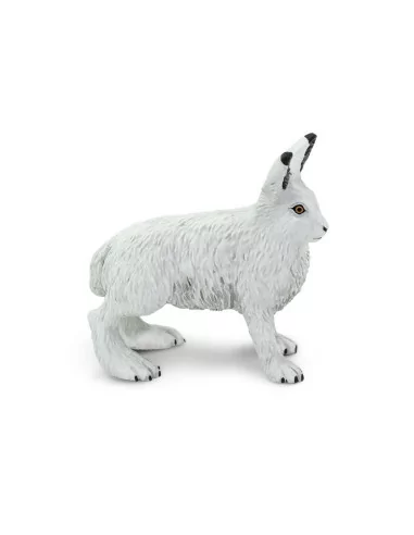Zając polarny