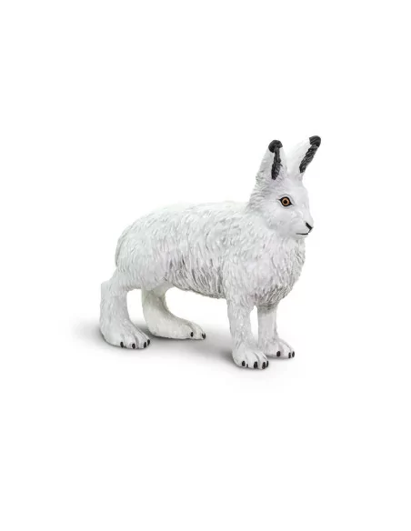 Zając polarny