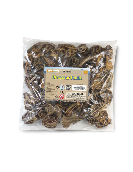 Czaszki dinozaurów