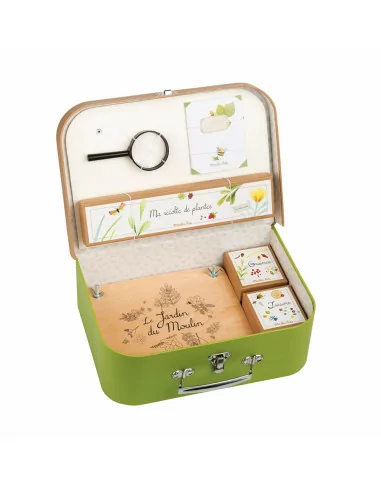 Kuferek małego botanika