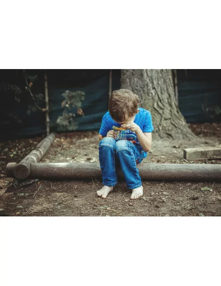 Pojemnik do obserwowania owadów