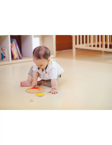 Puzzle – cykl życia kurczaka