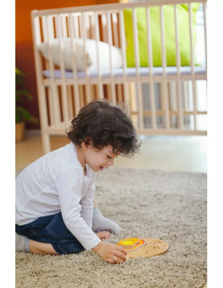 Puzzle – cykl życia kurczaka