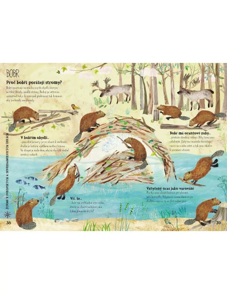 Velká kniha divoké havěti