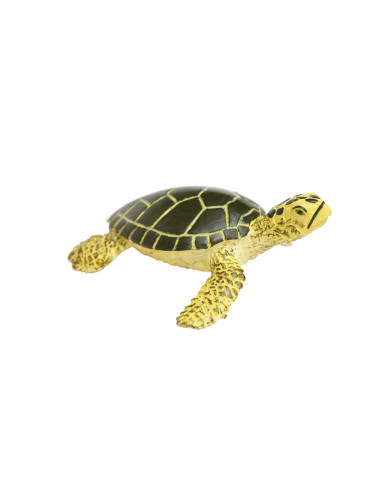 Młode żółwia morskiego