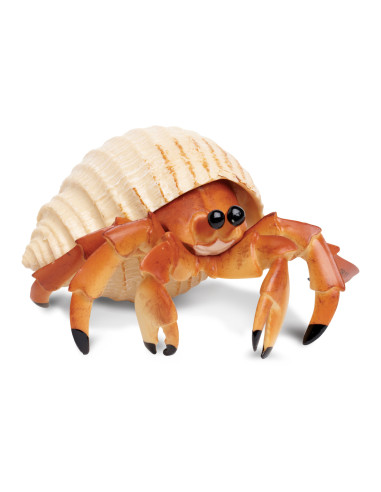 Krab pustelnik