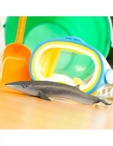 Płetwal czerniakowy